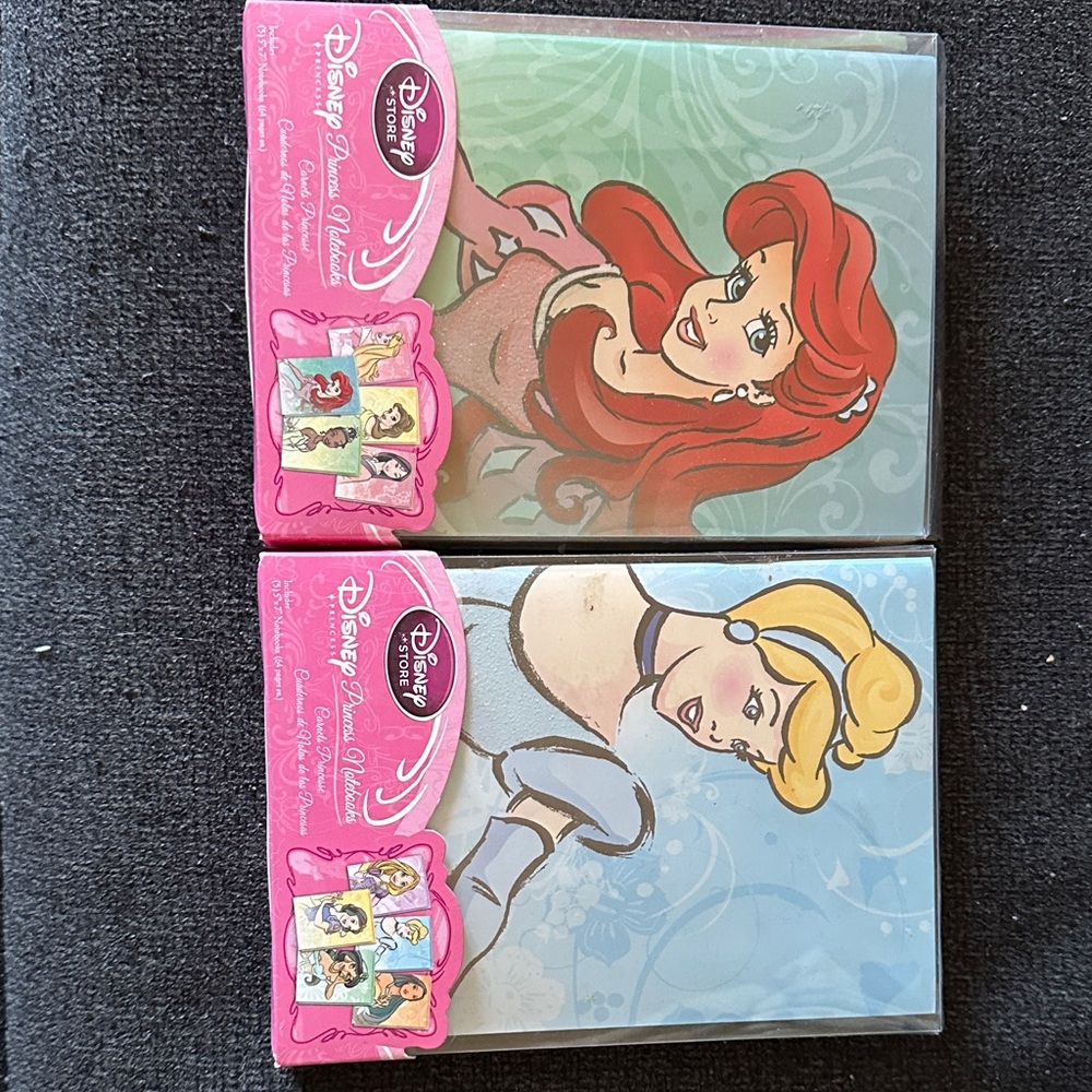 Disney Princess Notebook set